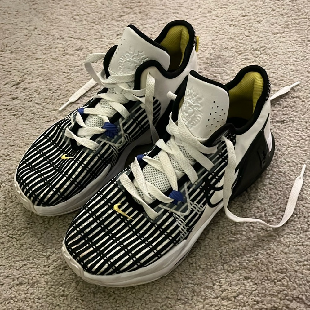 Lebron Nike Basketball Sneaker (Youth Size 6.5)